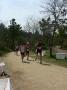 gal/Duathlon Saint-Jean de Monts/_thb_P1050564.JPG